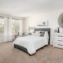Image of Holiday Maple Downs (3)