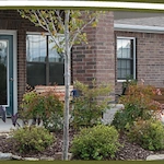Image of Sunshine Manor (9)