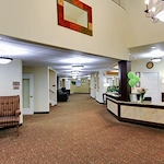 Image of Woodland by Bonaventure (2)