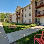 Image of Tall Trees (1)