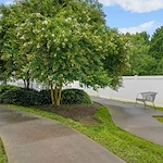 Image of Commonwealth Senior Living at Bon Air (9)