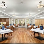 Image of Ivy Park at Studio City (3)