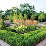 Image of The Mather Evanston (5)