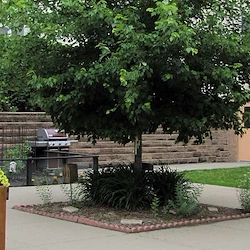 Image of Southview Acres Healthcare Center (2)