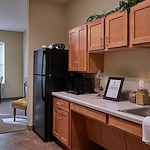 Image of Silver Birch of Terre Haute (8)