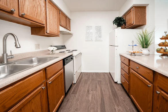 Image of Thunderbird (8)