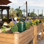 Image of Beach Terrace (9)