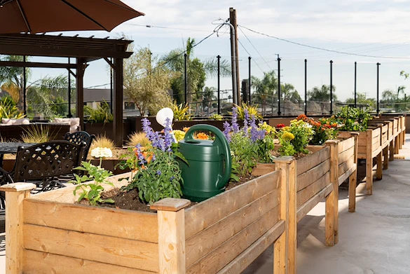 Image of Beach Terrace (9)