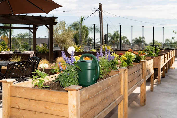 Image of Beach Terrace (9)