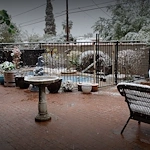 Image of Alma's Home Care Assisted Living (2)