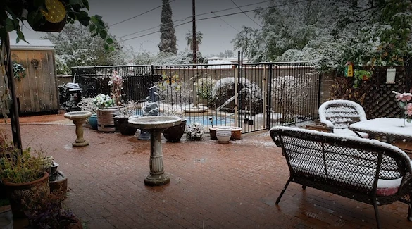 Image of Alma's Home Care Assisted Living (2)