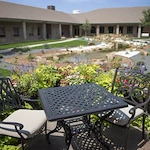 Image of Vitality Court Texas Star (2)