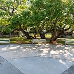 Image of The Terrace at Courtenay Springs (2)
