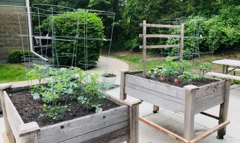 Image of The Landings of Minnetonka (5)