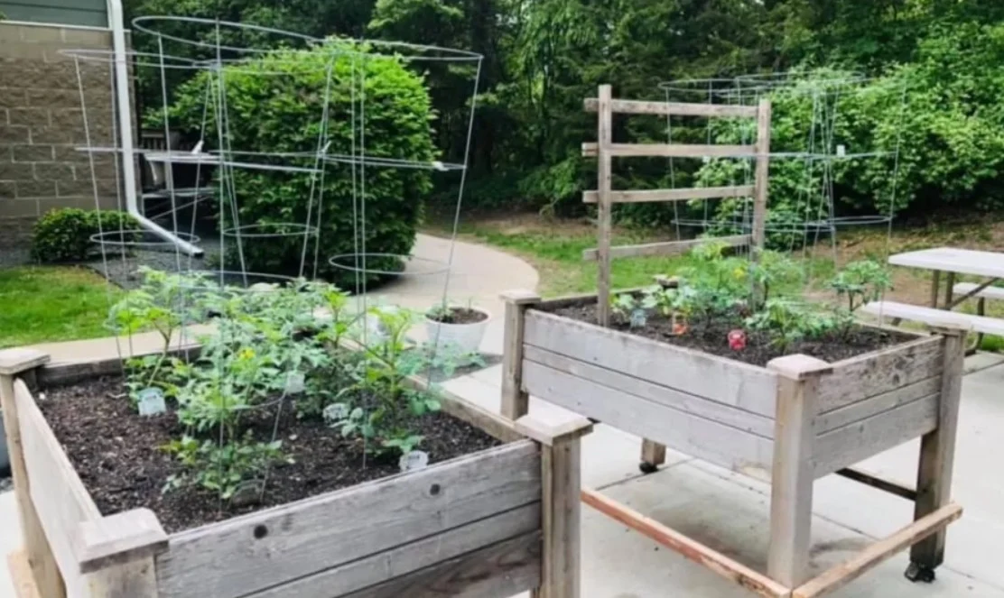 Image of The Landings of Minnetonka (5)