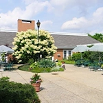 Image of Peterson Meadows (4)