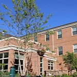 Image of Harmony Trace (1)