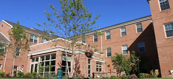 Image of Harmony Trace (1)