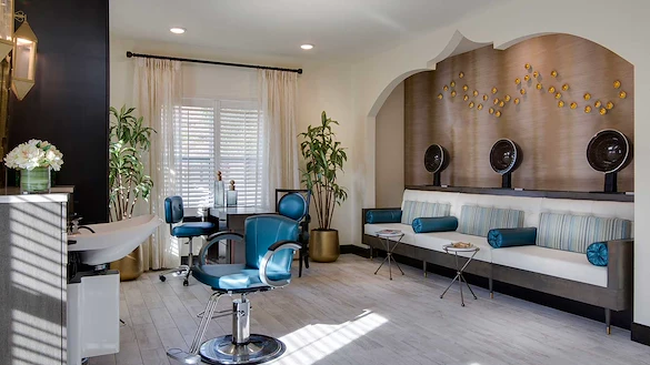 Image of Starling at San Jose (10)