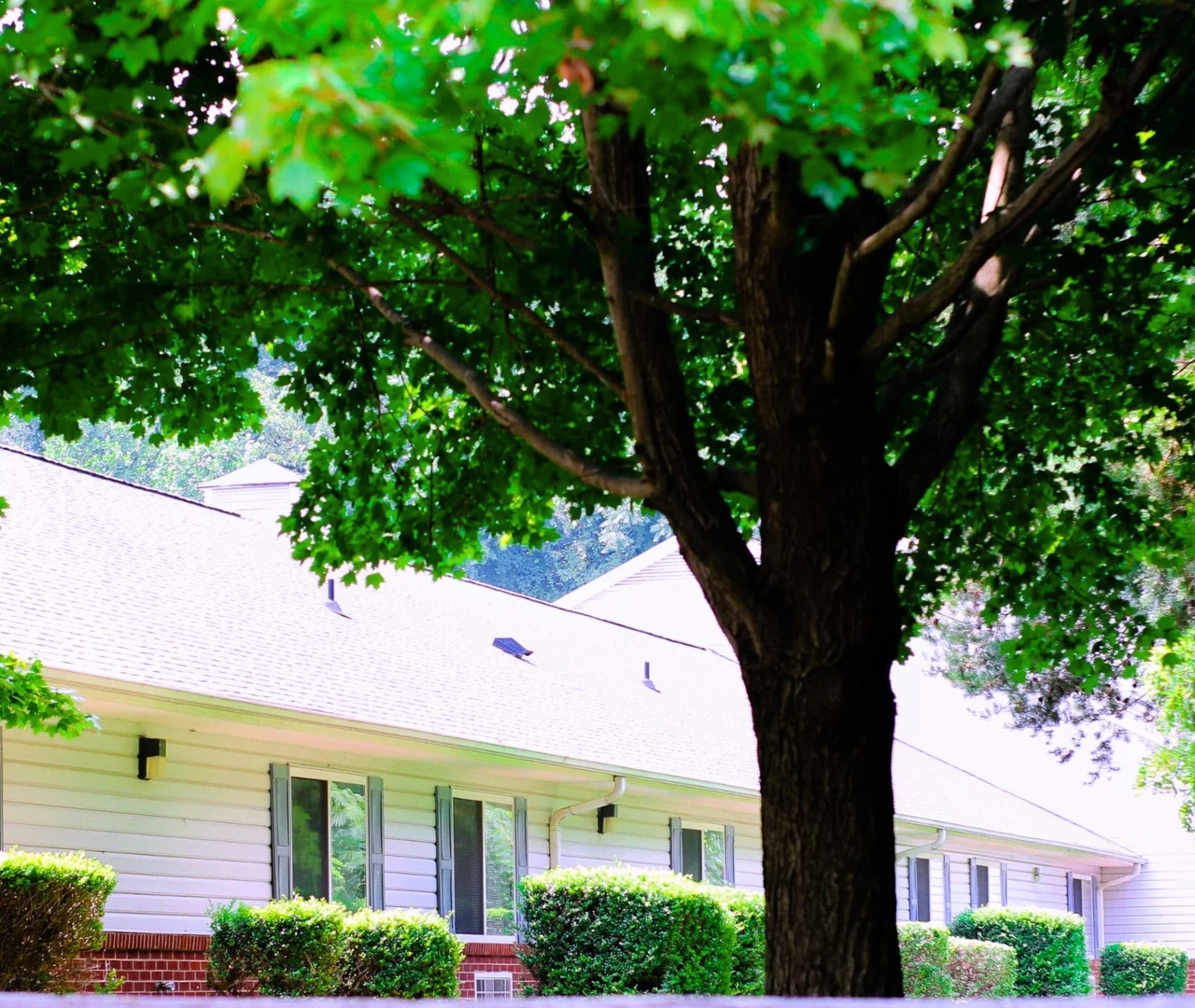 Image of Carriage Hill Retirement (3)