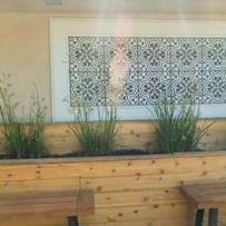 Image of Willow Pass Healthcare Center (4)