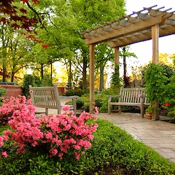 Image of Trezevant Senior Living (2)