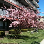 Image of Assisted Living at Fenno House (3)