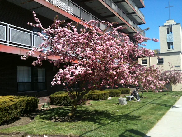 Image of Assisted Living at Fenno House (3)