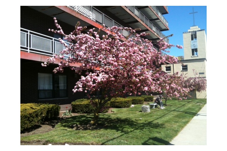 Image of Assisted Living at Fenno House (3)