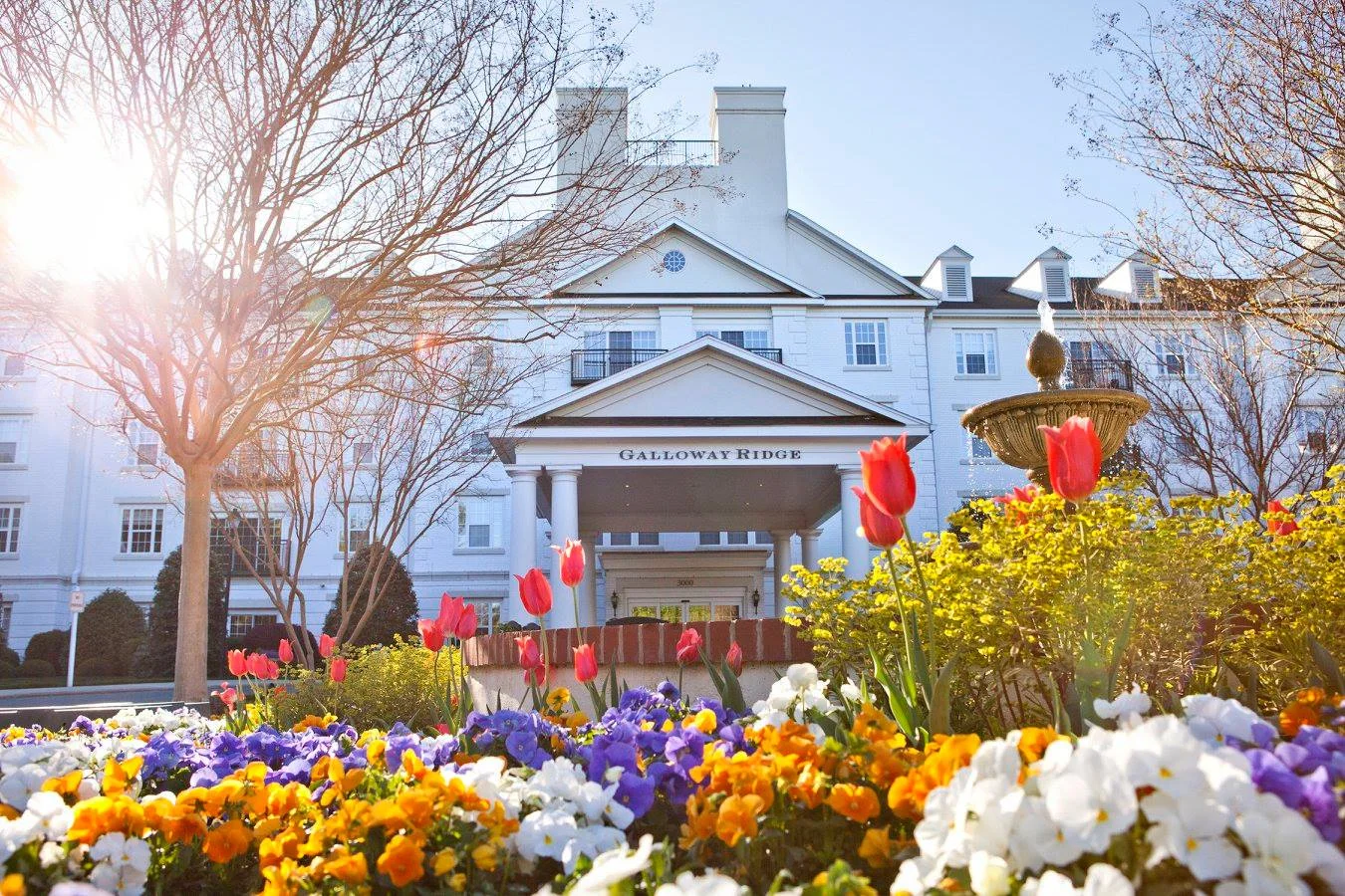 Image of The Arbor (3)