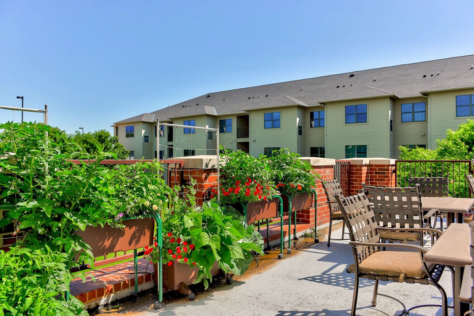 Image of The Health Center At Concordia (6)