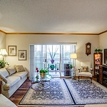 Image of Royal Palms (9)