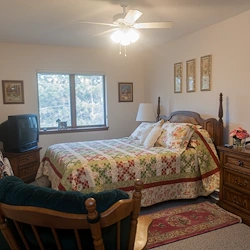 Image of WinterGreen (4)