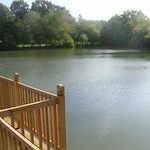 Image of Apple Grove Alzheimer's & Adult Day Care (3)