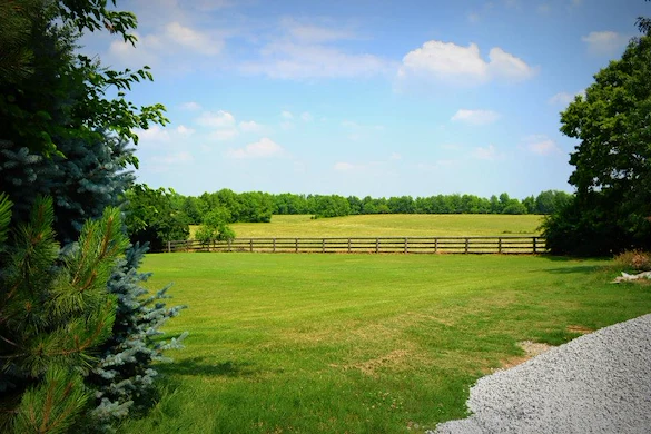 Image of BeeHive Homes of Goshen (3)
