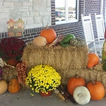 Image of Villas of Holly Brook, Morton, Illinois (5)