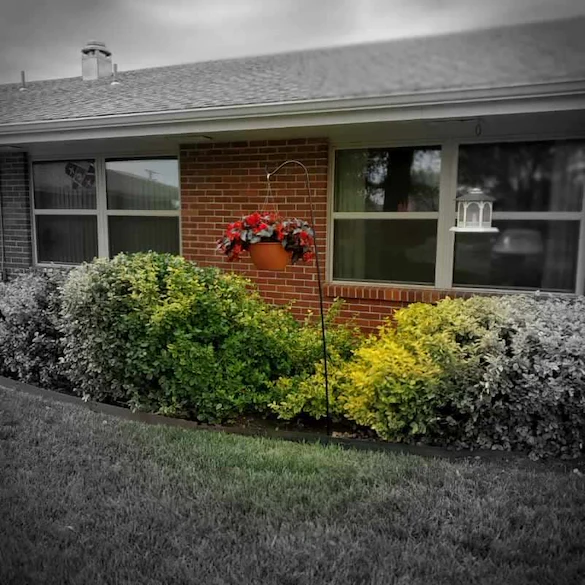 Image of Spring View Manor Healthcare And Rehabilitation (2)