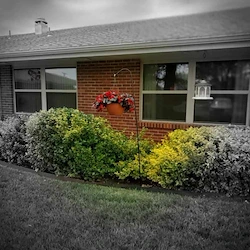 Image of Spring View Manor Healthcare And Rehabilitation (2)