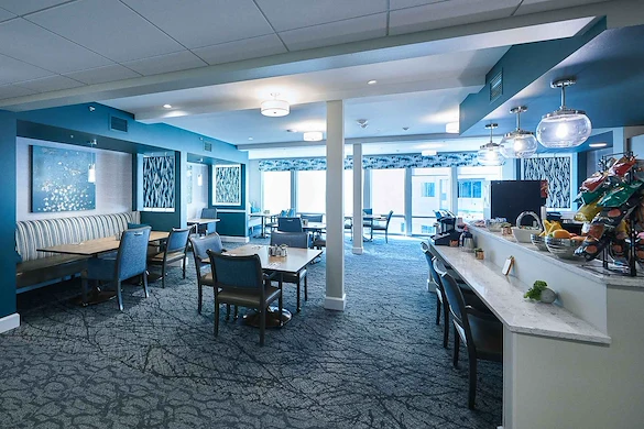 Image of Palvella Glen - Rockwood at Whitworth (3)