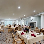 Image of Green Tree (4)