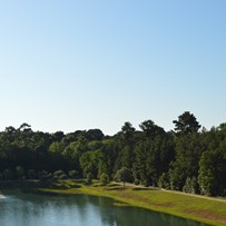 Image of Landing at Watermere Woodland Lakes (1)