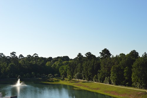 Image of Landing at Watermere Woodland Lakes (1)