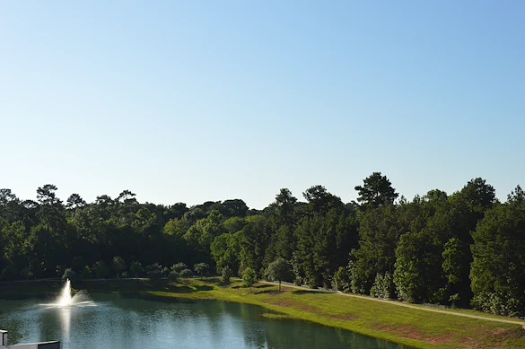 Image of Landing at Watermere Woodland Lakes (1)