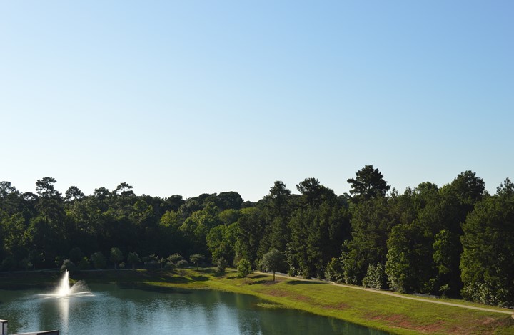 Image of Landing at Watermere Woodland Lakes (1)