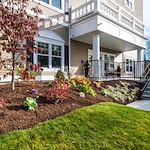 Image of Windrose at Weymouth (2)