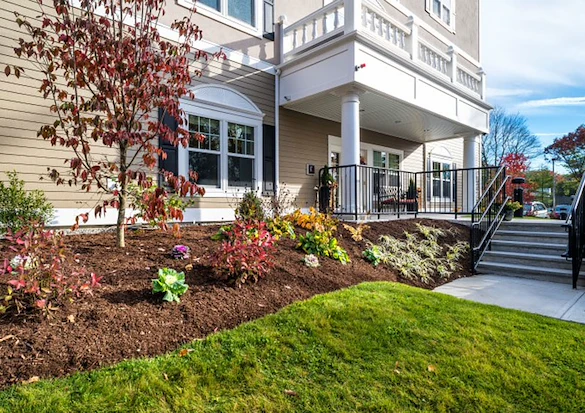 Image of Windrose at Weymouth (2)