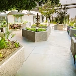 Image of Plaza Healthcare (4)