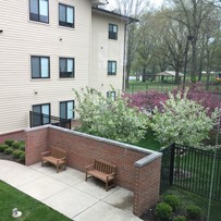 Image of St. Paul's Rehab & Health Care Center (3)