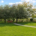 Image of Sullivan Park Assisted Living (9)