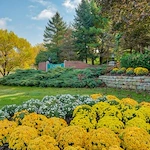 Image of Juniper Village At Brookline-Rehabilitation And Sk (2)